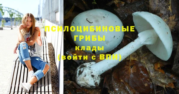 крисы Гусь-Хрустальный