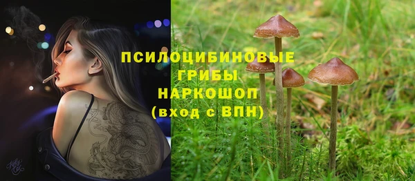 винт Горняк