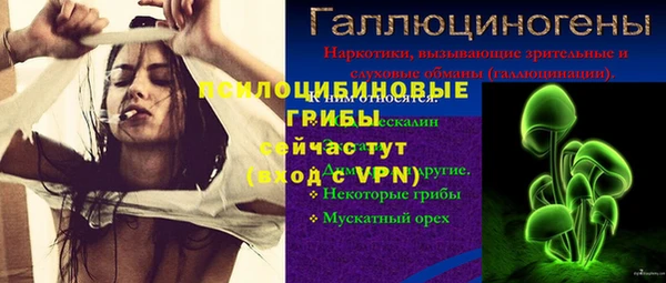 ешки Горно-Алтайск