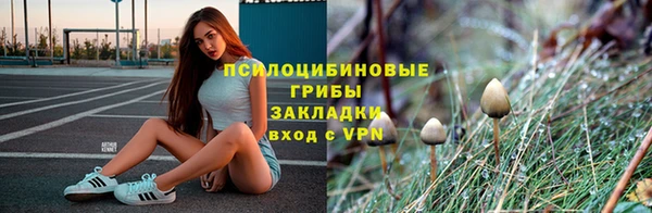 мет Горнозаводск