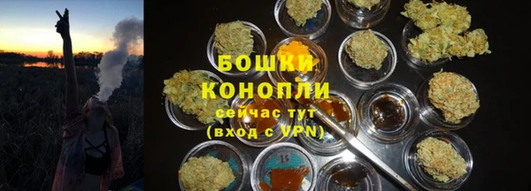 дурь Гусев