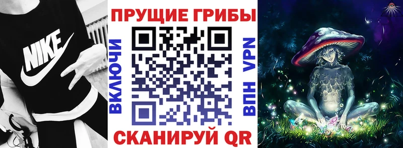 купить закладку  Первомайск  Галлюциногенные грибы Psilocybine cubensis 